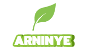 Arninye